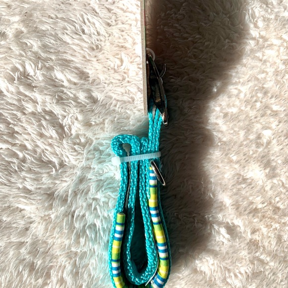 Padded Dog Collar Small - Picture 5 of 5